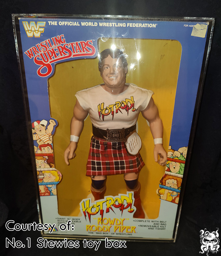 WWF WCW AWA Wrestling Figure Acrylic Display Case